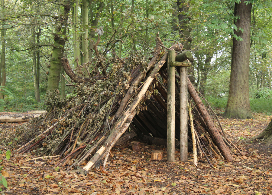 Construire un abri de survie pour se protéger des intempéries et des prédateurs